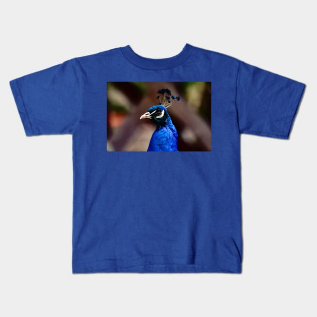 Peacock Kids T-Shirt by Rob Johnson Photography